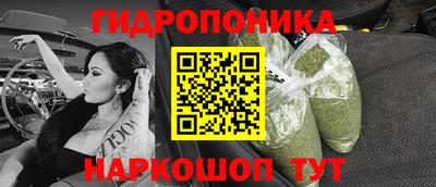 гидропоника Партизанск